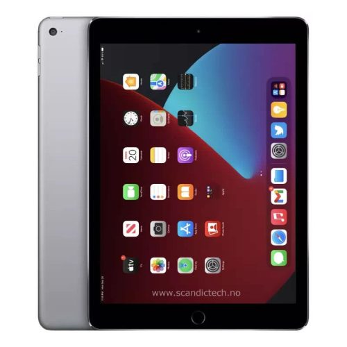 iPad Air 2  - 16GB WiFi (grå)