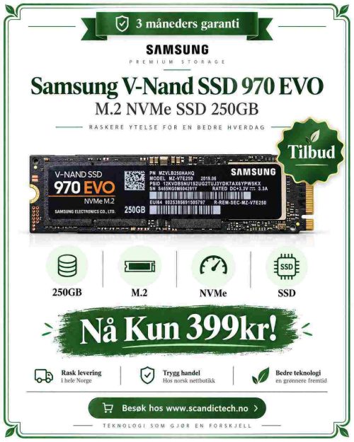 Samsung V-Nand SSD 970 EVO M.2 NVMe SSD 250GB